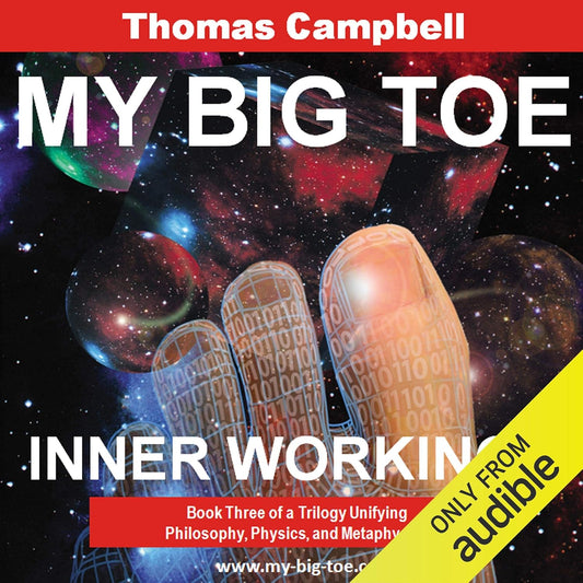 My Big TOE: Inner Workings: Book Three of a Trilogy Unifying Philosophy, Physics, and Metaphysics