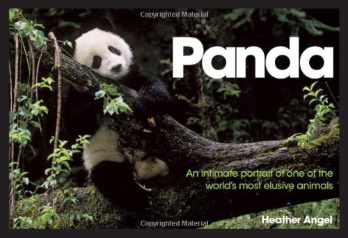 Panda: An Intimate Portrait of One of the World's Most Elusive Animals
