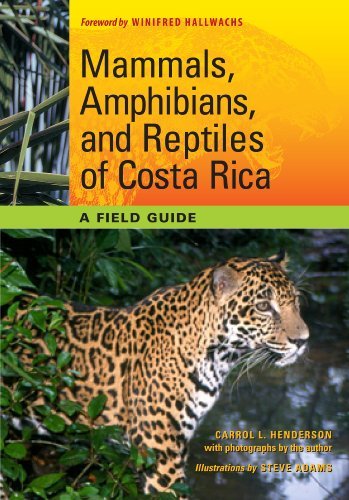 Mammals, Amphibians, and Reptiles of Costa Rica: A Field Guide (Corrie Herring Hooks Book 66)