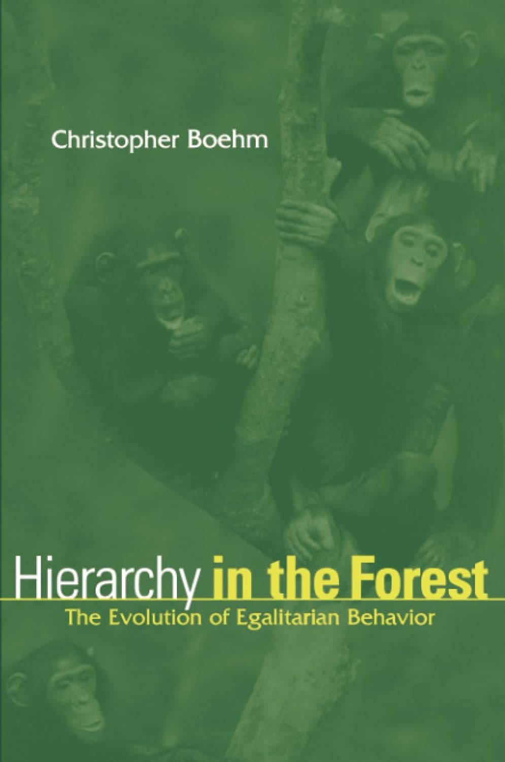 Hierarchy in the Forest: The Evolution of Egalitarian Behavior