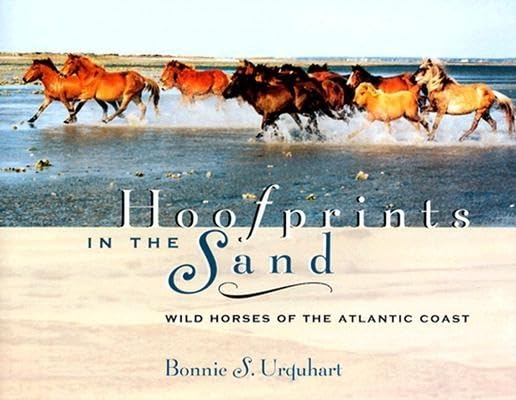 Hoofprints In The Sand: Wild Horses of the Atlantic Coast