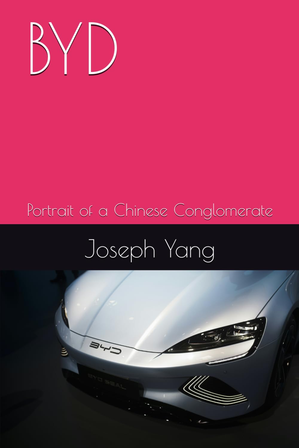BYD: Portrait of a Chinese Conglomerate