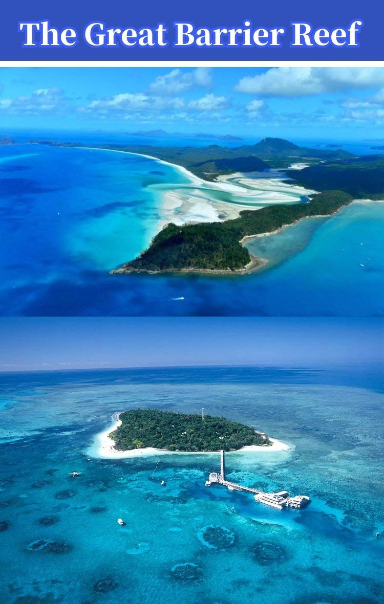 The Great Barrier Reef