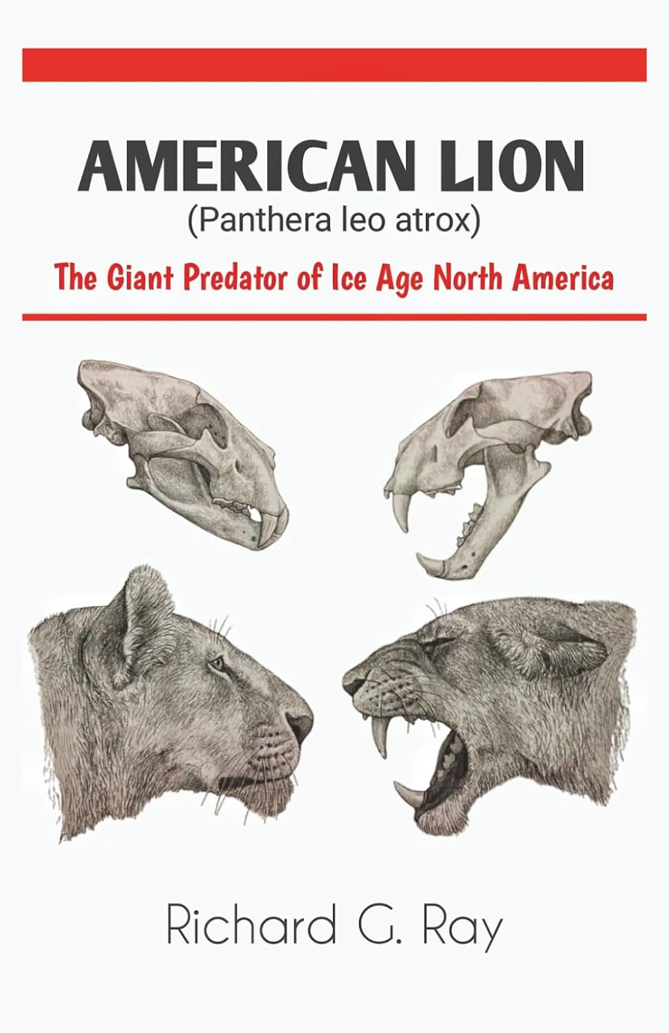AMERICAN LION (Panthera leo atrox): The Giant Predator of Ice Age North America (PREHISTORIC ANIMALS SERIES)