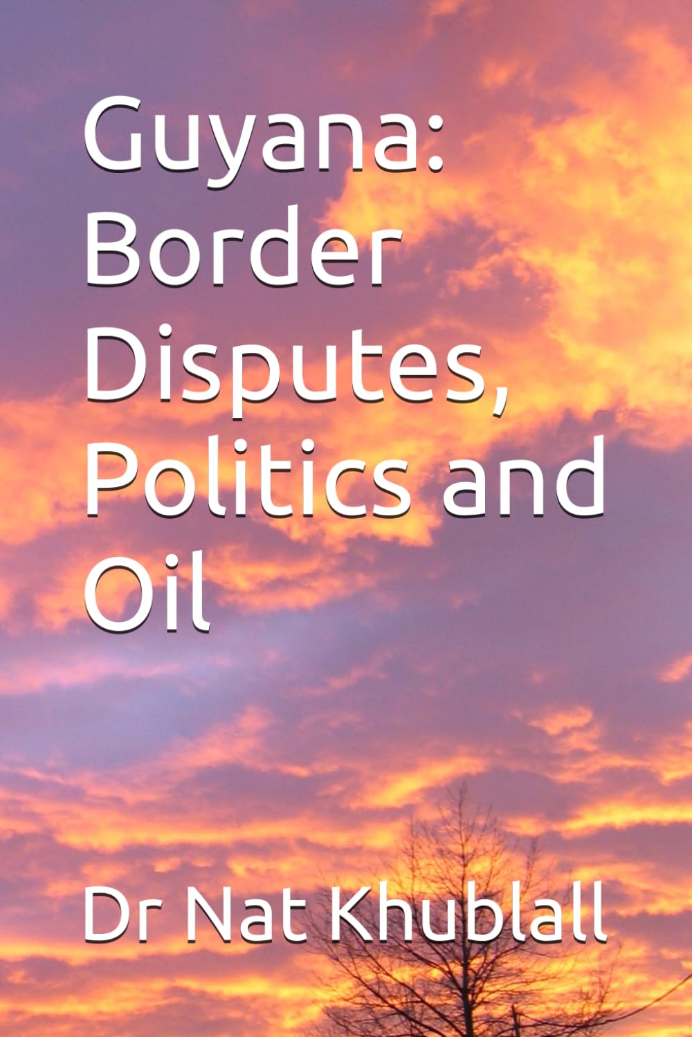 Guyana: Border Disputes, Politics and Oil
