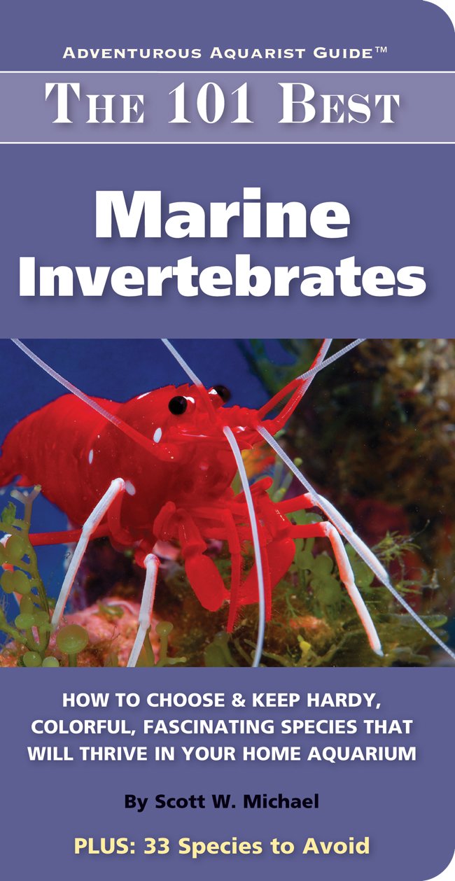 101 Best Marine Invertabrates (Adventurous Aquarist Guide)