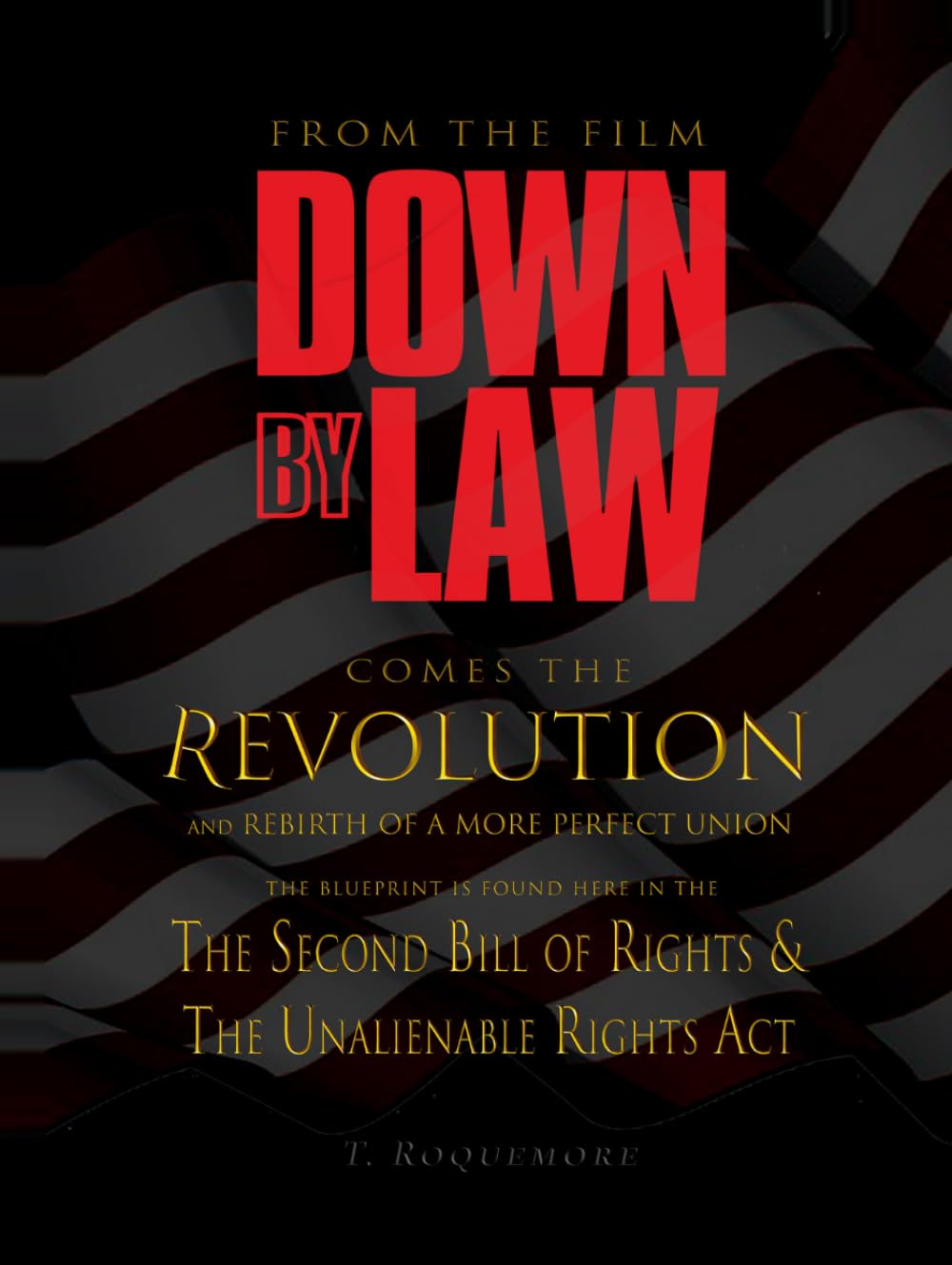 Down By Law: comes the Revolution and Rebirth of a More Perfect Union (The Down By Law Project)