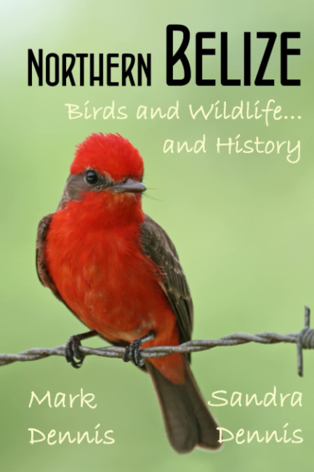 Northern Belize: Birds and Wildlife and History (Birding Travelogues)