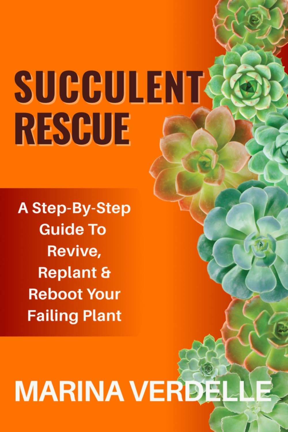 Succulent Rescue: A Step By Step Guide To Revive, Replant & Reboot Your Failing Plant (Still Growing: A Succulent Care & Self-Healing Series)