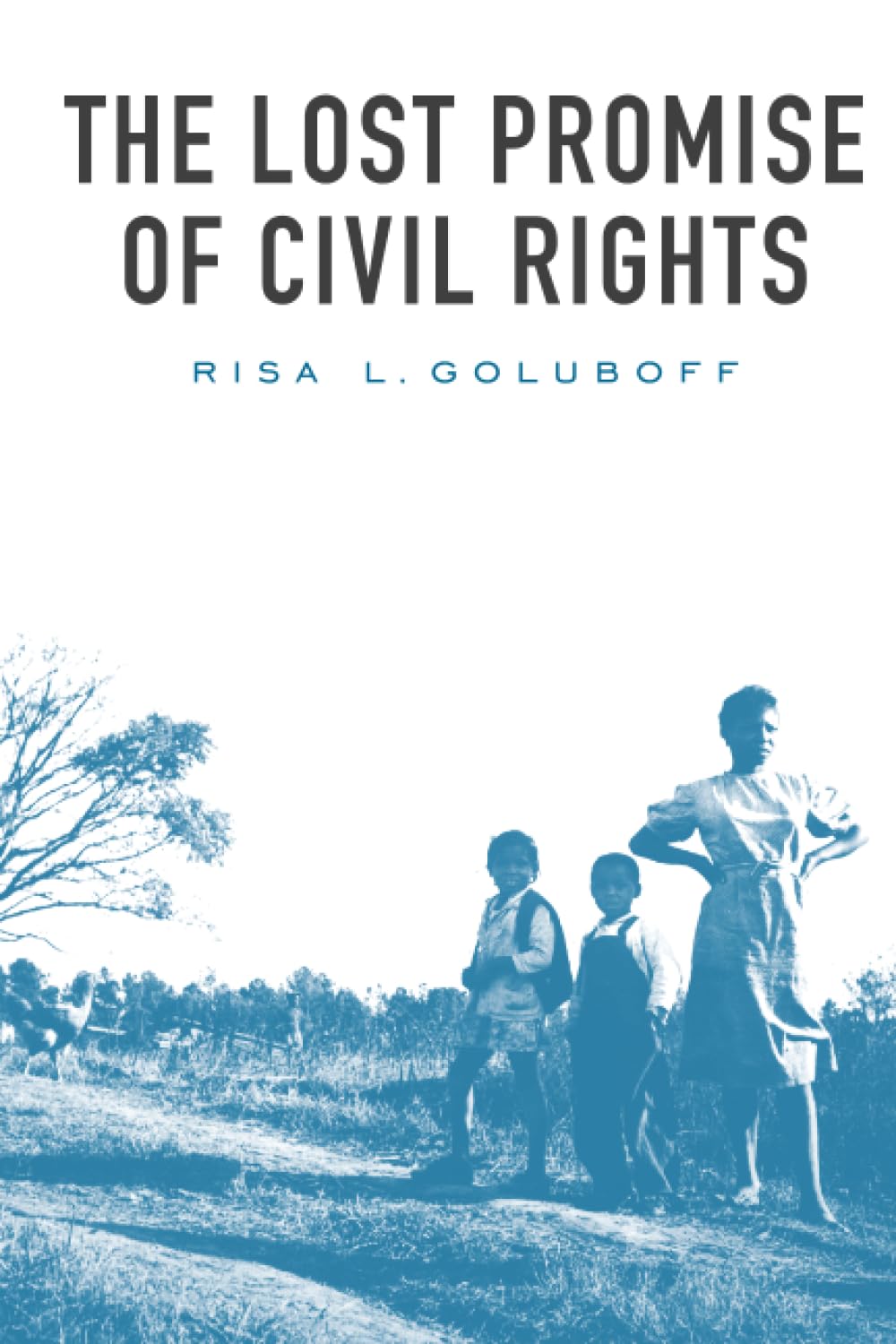 The Lost Promise of Civil Rights