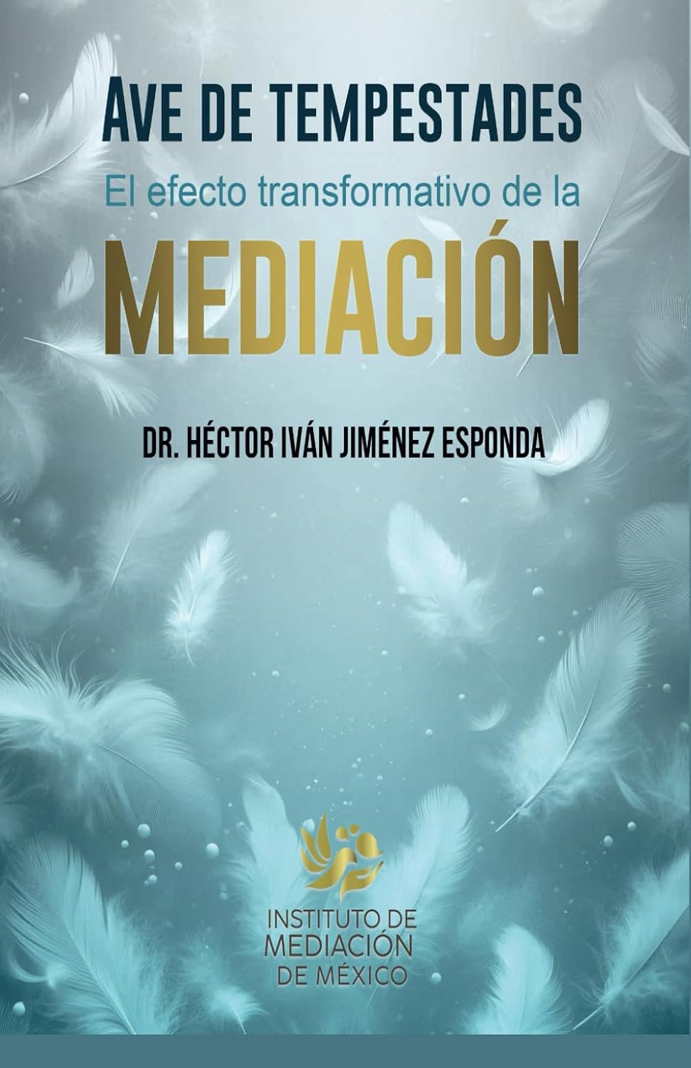 AVE DE TEMPESTADES: El efecto transformativo de la mediación (Spanish Edition)