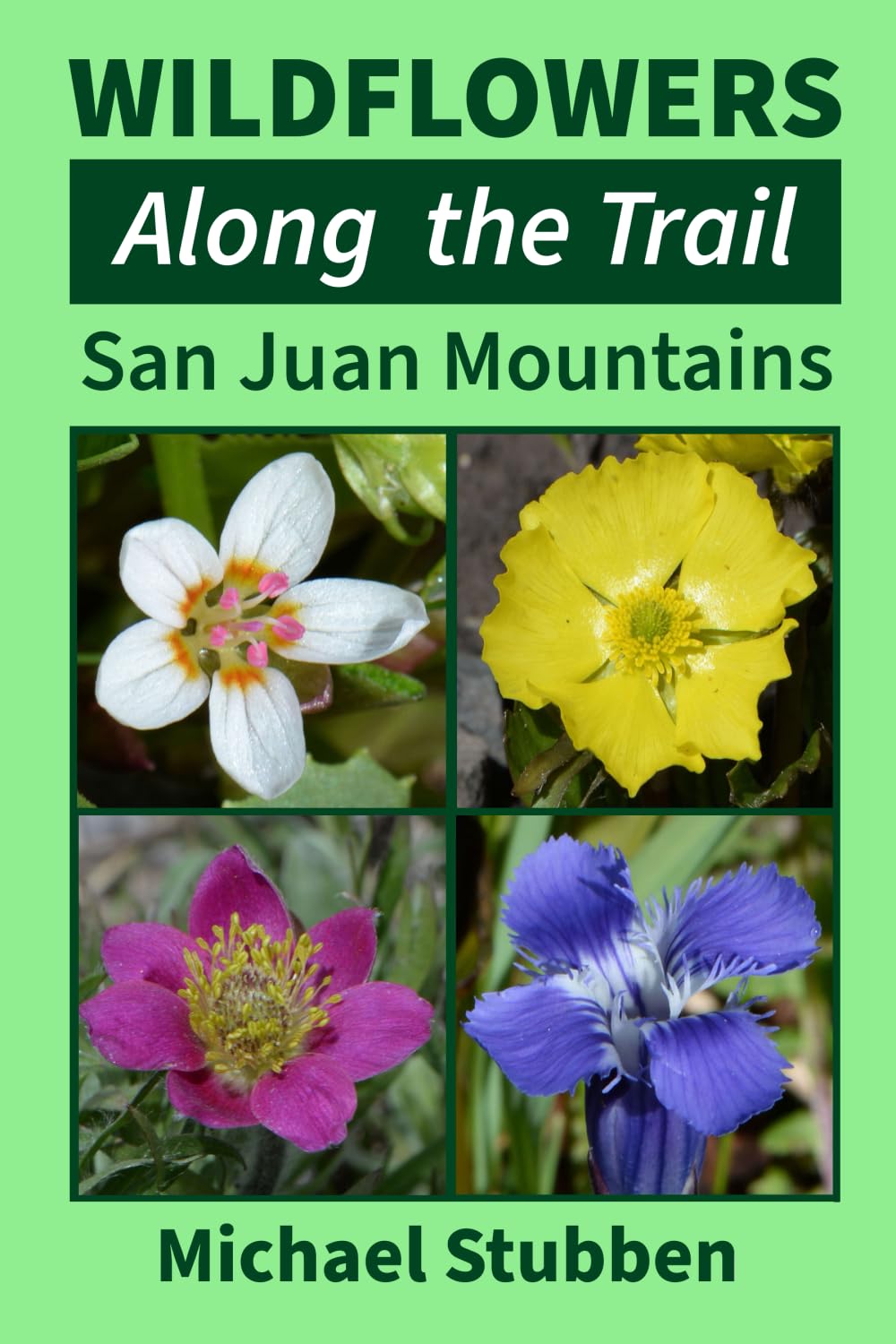 Wildflowers Along The Trail: San Juan Mountains