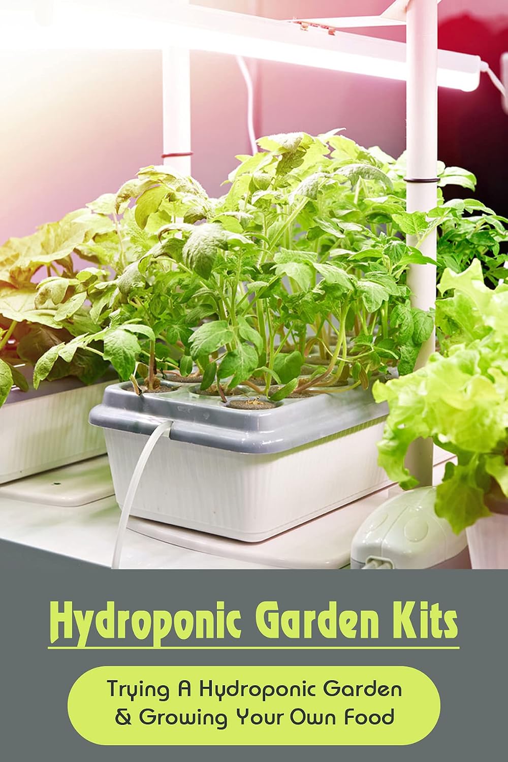 Hydroponic Garden Kits: Trying A Hydroponic Garden & Growing Your Own Food: Materials Build For Hydroponic System