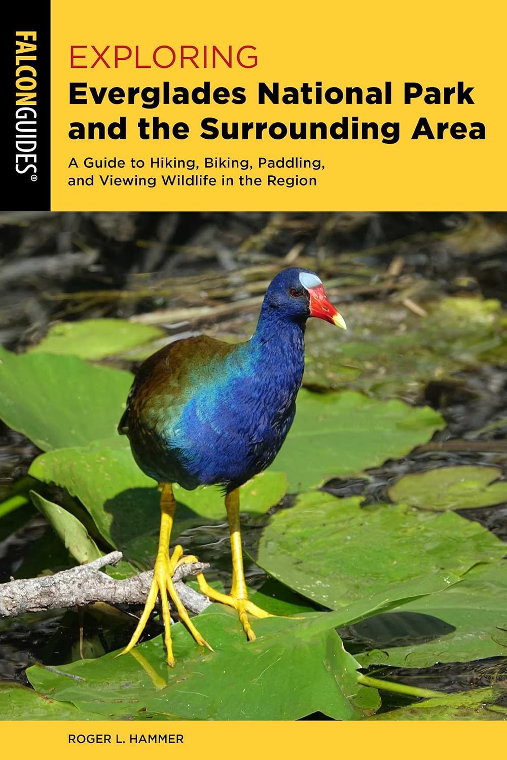 Exploring Everglades National Park and the Surrounding Area: A Guide to Hiking, Biking, Paddling, and Viewing Wildlife in the Region (Exploring Series)