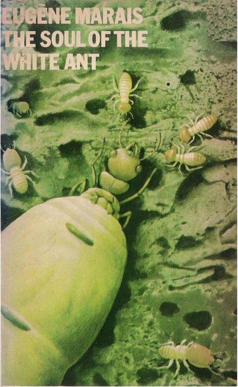 The Soul of the White Ant (Original Unabridged): The First Work of Ethology