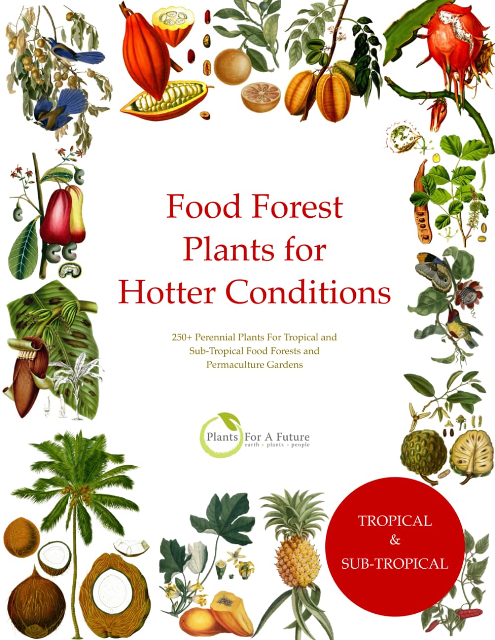 Food Forest Plants for Hotter Conditions: 250+ Perennial Plants For Tropical and Sub-Tropical Food Forests and Permaculture Gardens