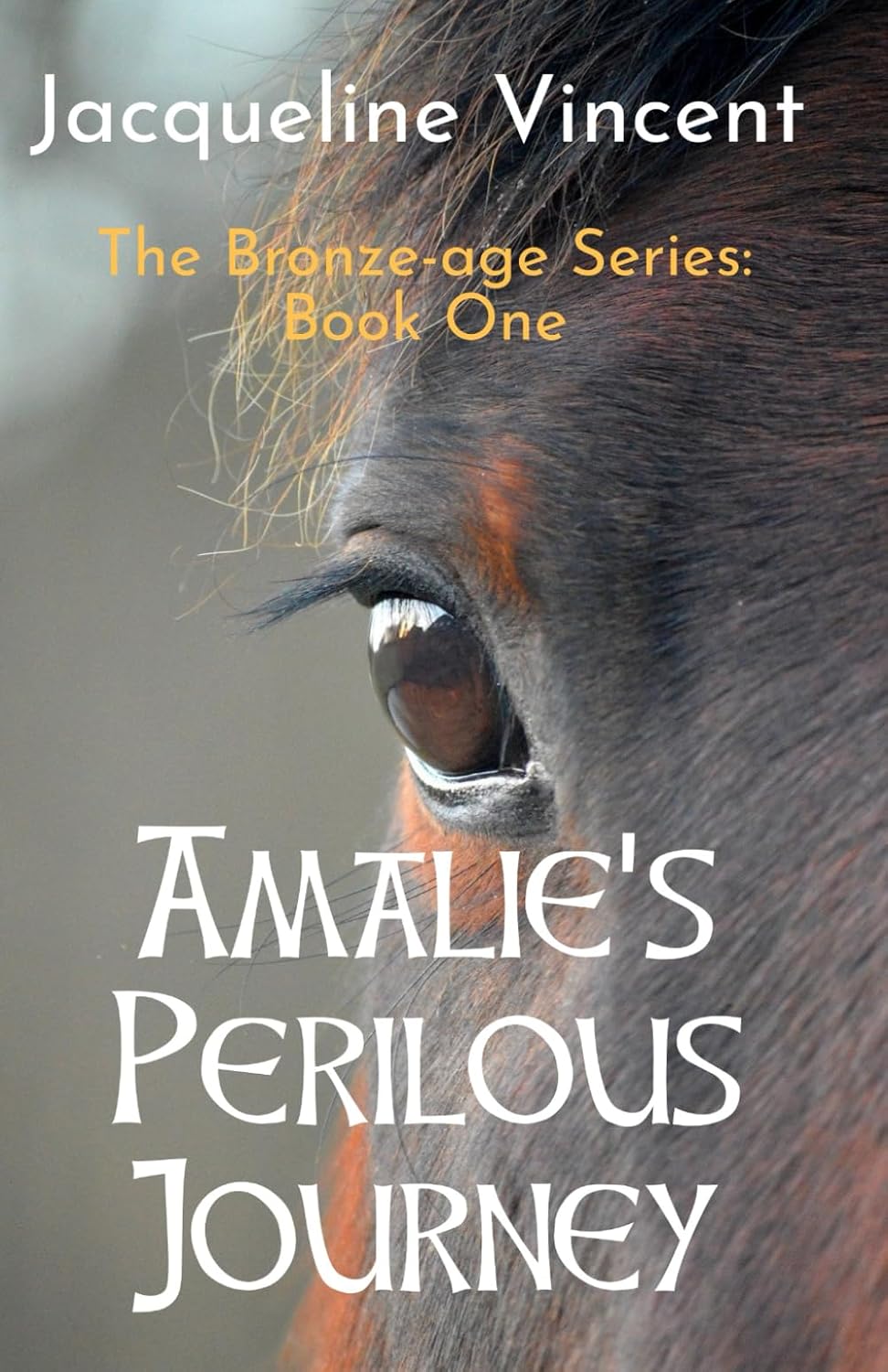 Amalie's Perilous Journey (The Bronze Age Series)
