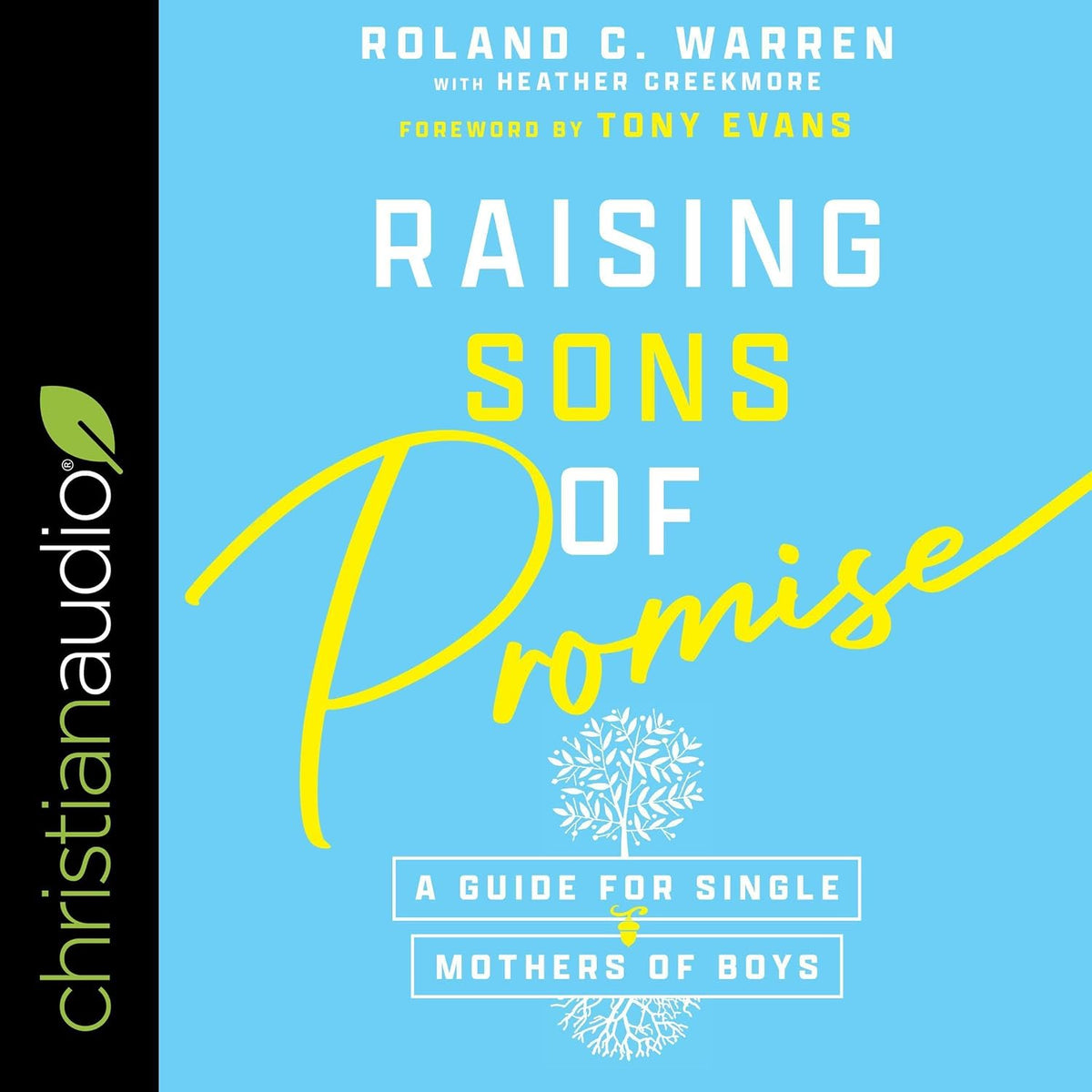 Raising Sons of Promise: A Guide for Single Mothers of Boys
