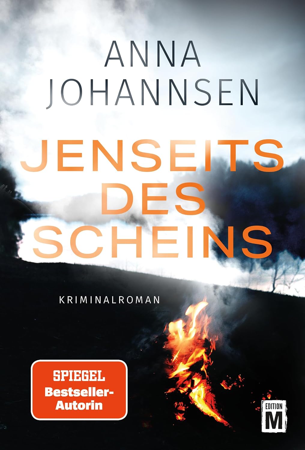 Jenseits des Scheins (Ein Fall für Hanna Will & Jan de Bruyn 5)