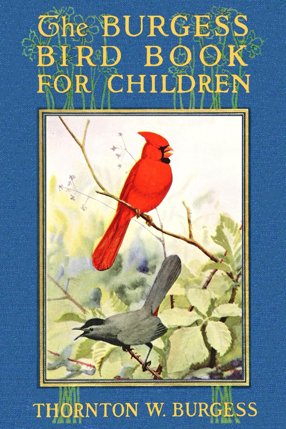 The Burgess Bird Book in Color: Bird and Nature Education Storybook for Kids, 6x9