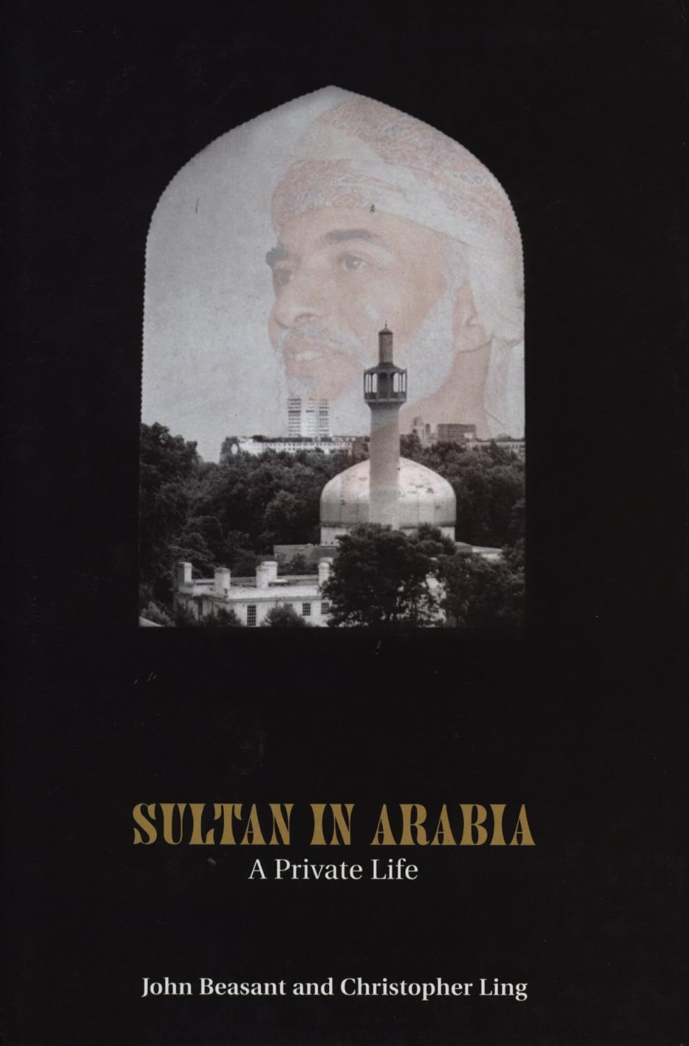Sultan In Arabia: A Private Life
