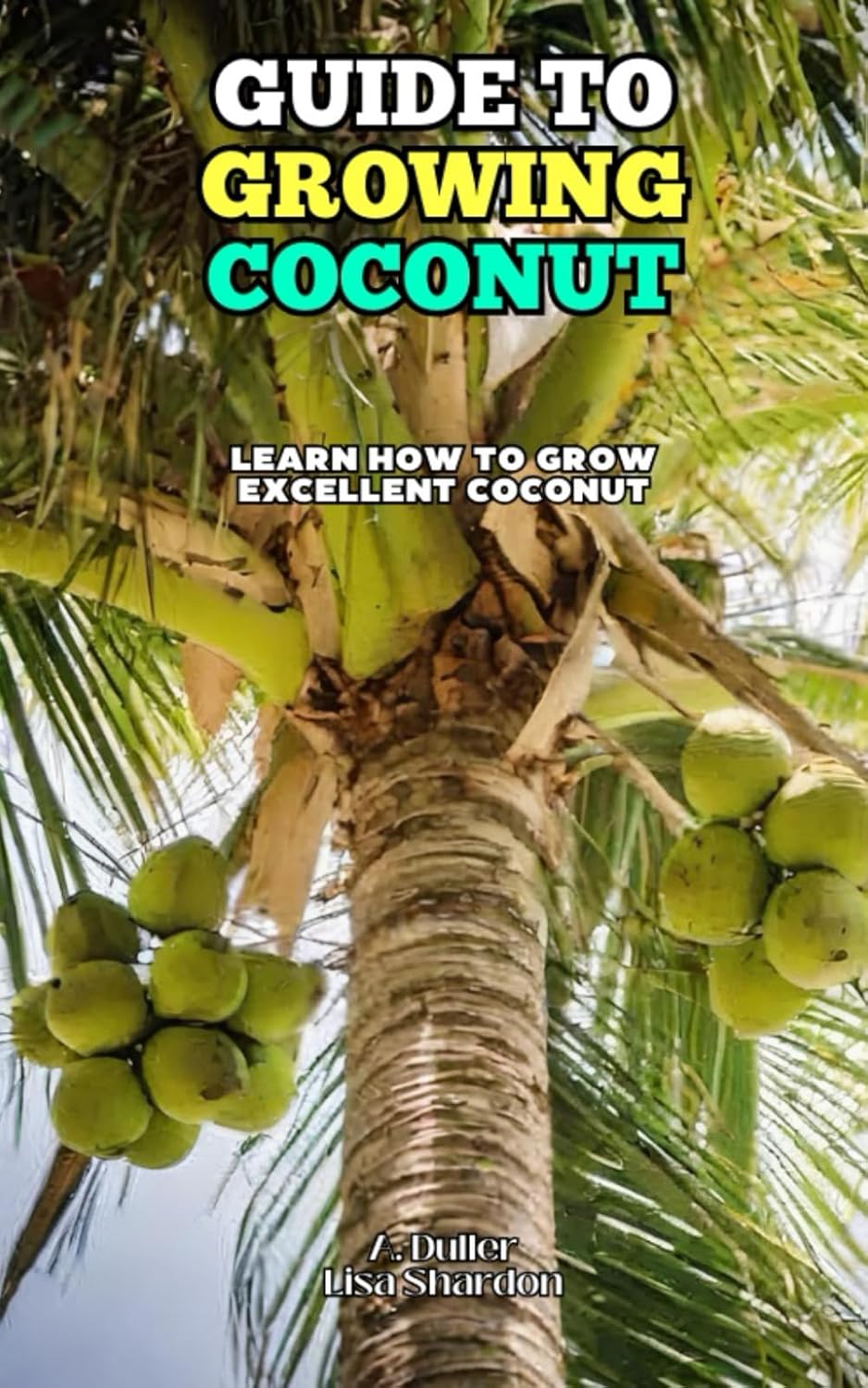 Guide to Growing Coconut: Learn how to grow excellent Coconut