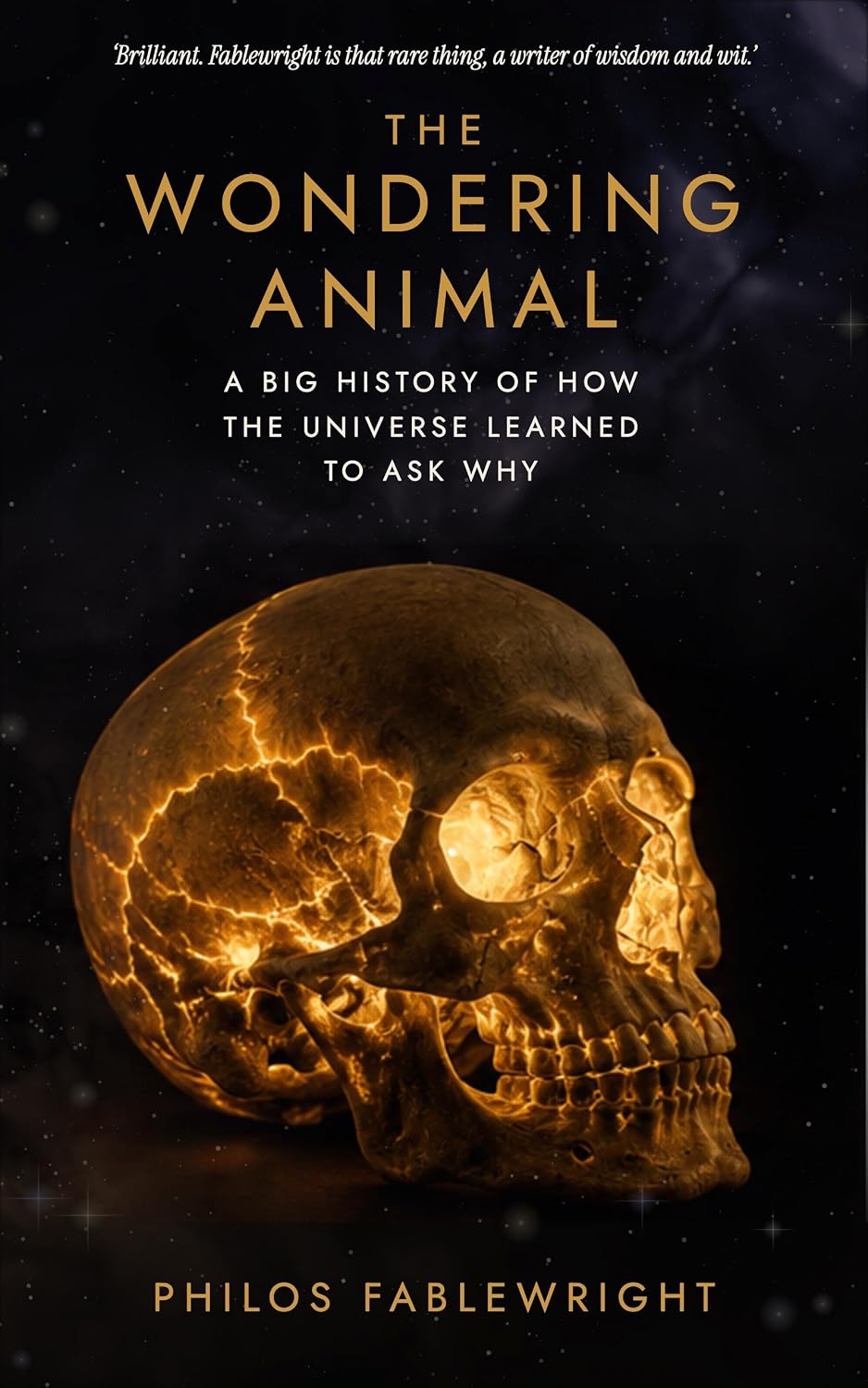 The Wondering Animal: A Big History of How the Universe Learned to Ask Why