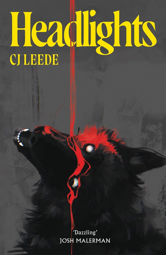 Headlights: A dark, visceral serial killer horror for fans of The Shining