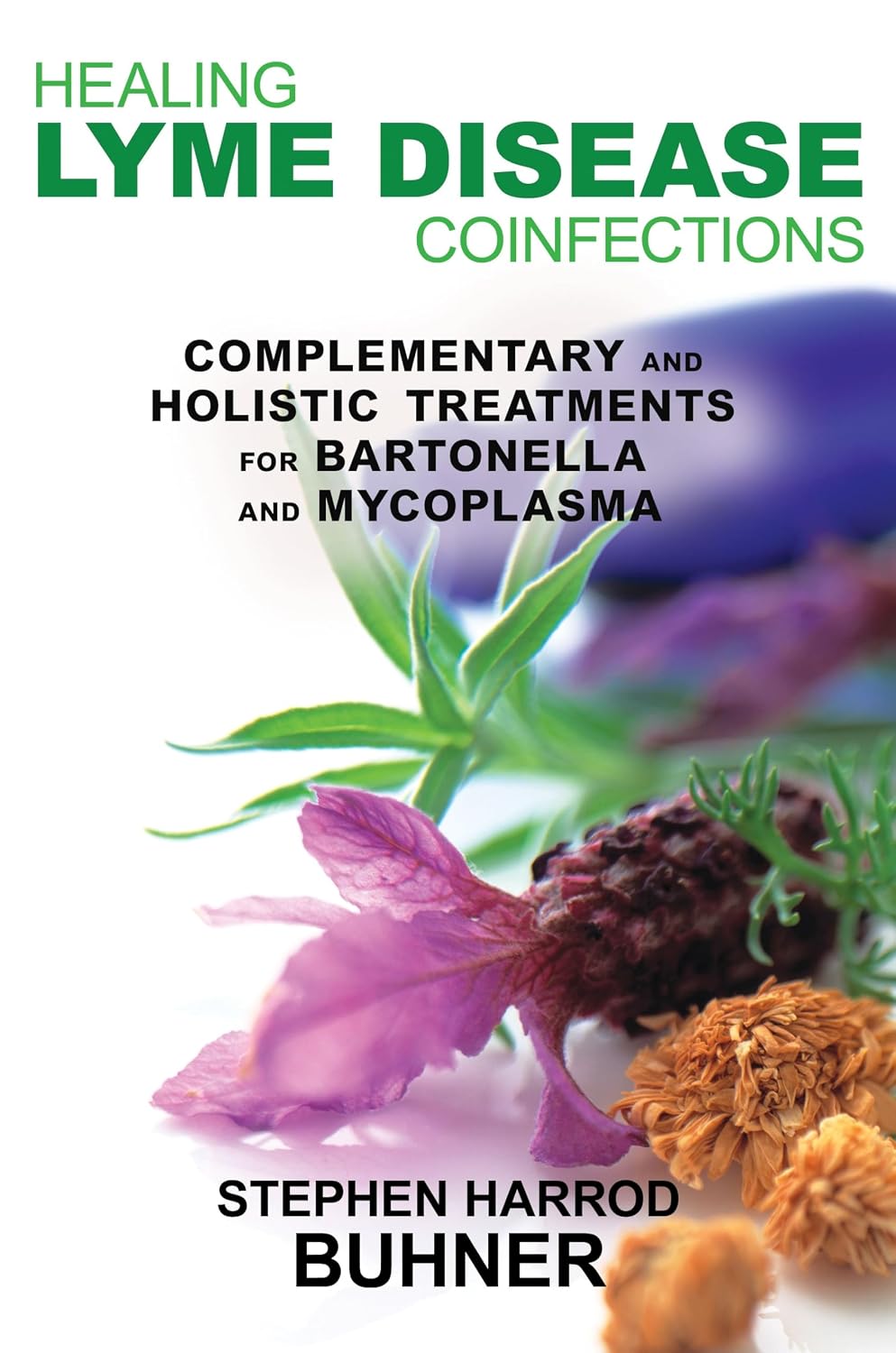 Healing Lyme Disease Coinfections: Complementary and Holistic Treatments for Bartonella and Mycoplasma
