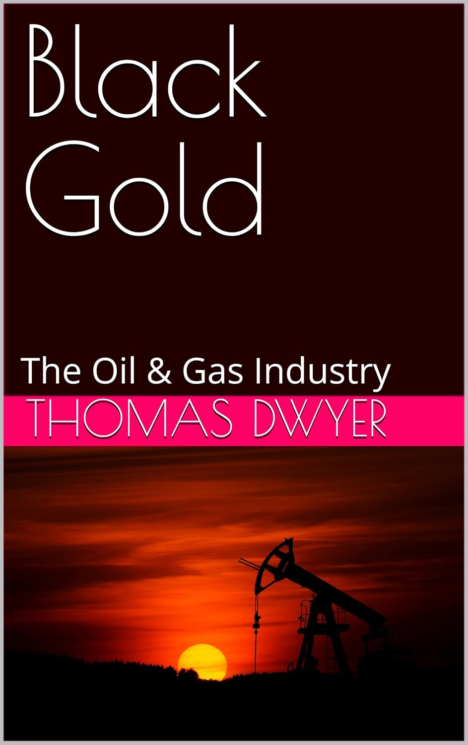 Black Gold: The Oil & Gas Industry
