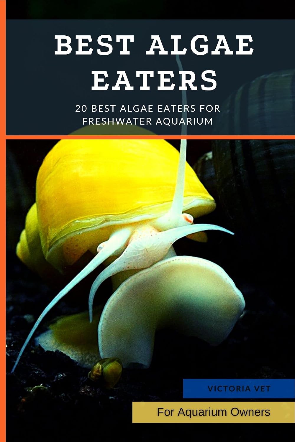 Best Algae Eaters: 20 Best Algae Eaters for Freshwater Aquarium