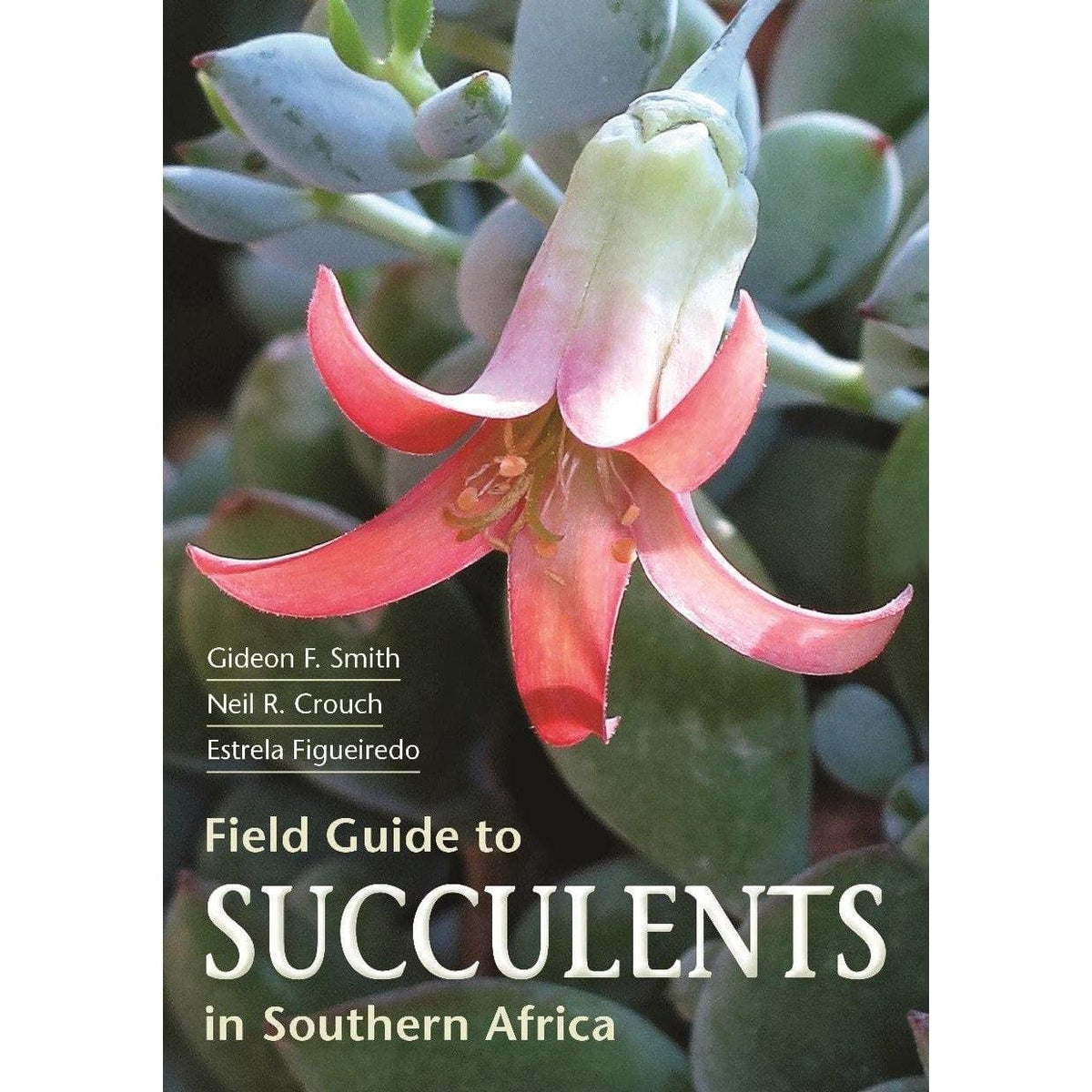 Field Guide to Succulents in Southern Africa