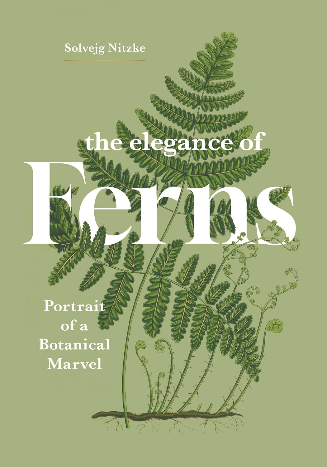 The Elegance of Ferns: Portrait of a Botanical Marvel (Marvels of Nature, 3)