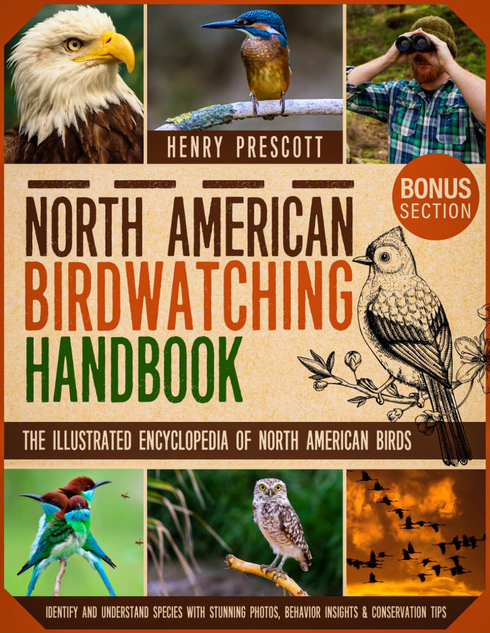 North American Birdwatching Handbook: The Illustrated Encyclopedia of North American Birds | Identify and Understand Species with Stunning Photos, Behavior Insights & Conservation Tips