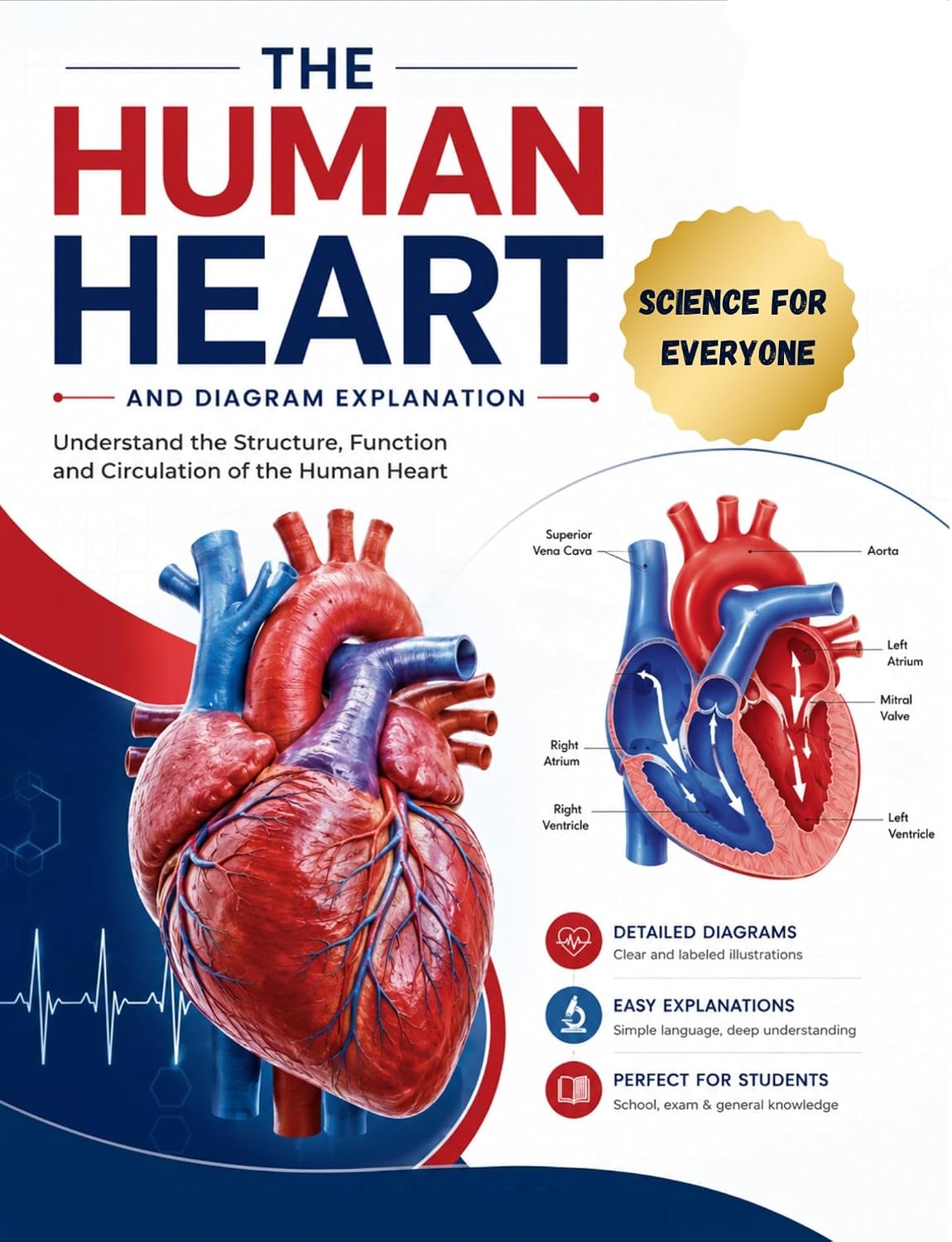 The Human Heart Science for Everyone : Understand the Structure, Function, and Circulation of the Human Heart with Detailed Diagram Explanations (Human Anatomy and Diagrams)