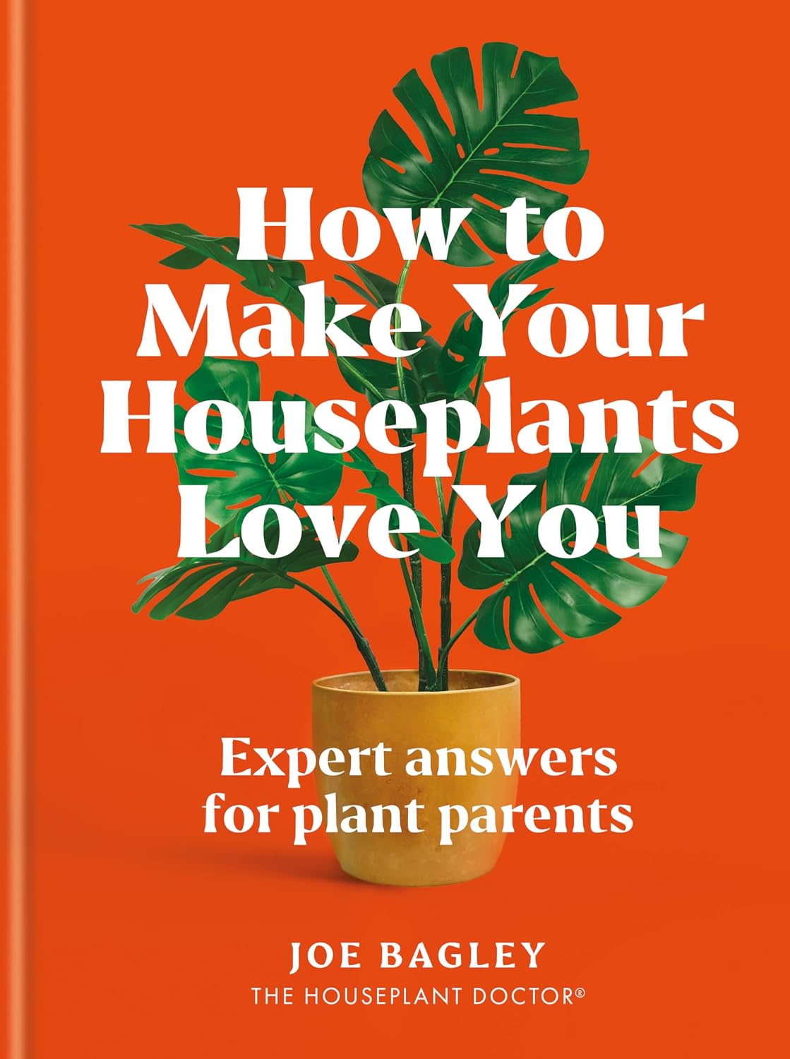 How to Make Your Houseplants Love You: Expert Answers for Plant Parents