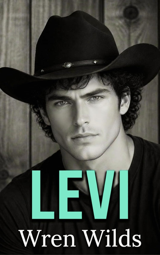 Levi : An M/M Romance (The Florida Panhandle Series Book 3)