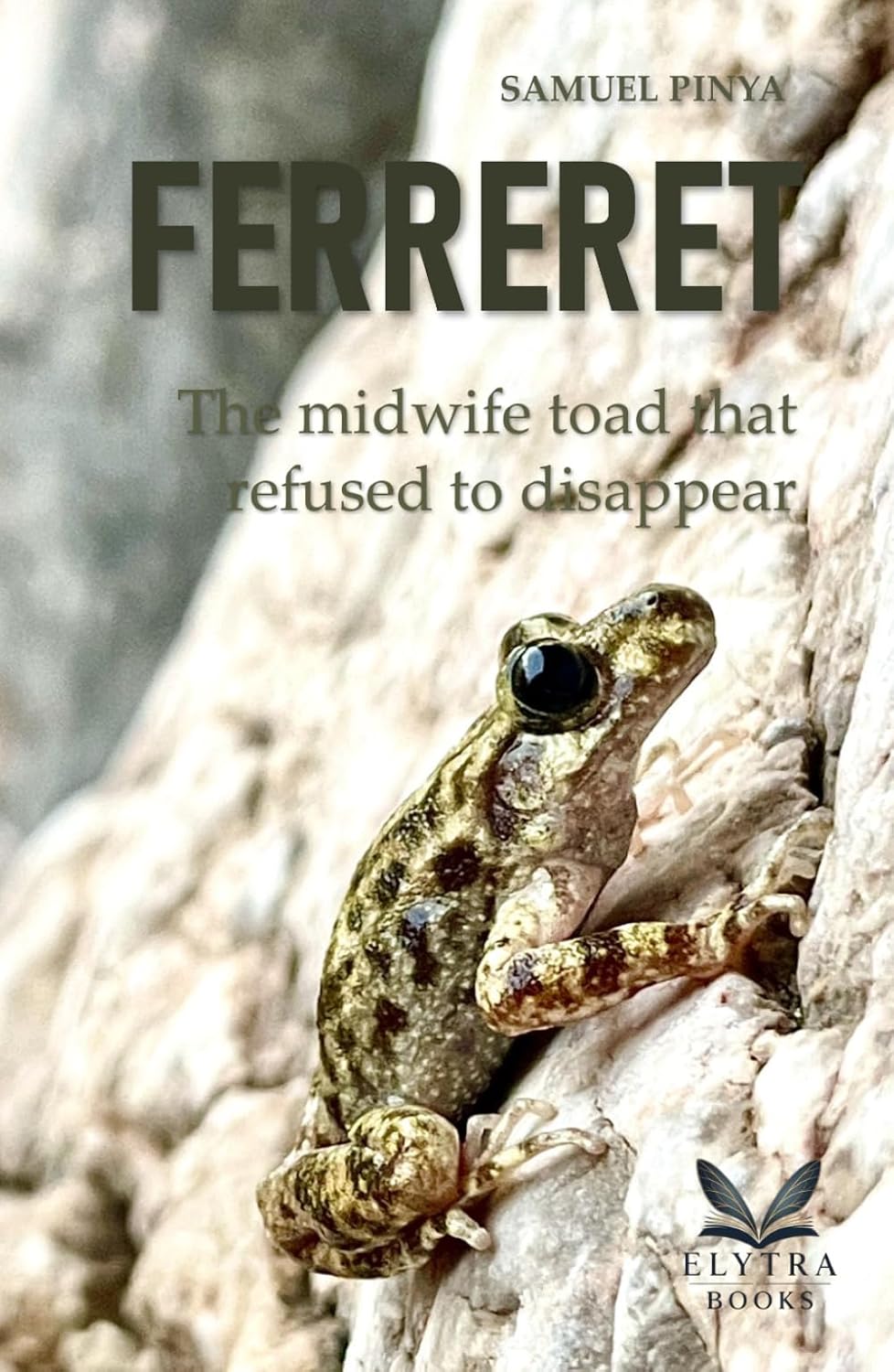 Ferreret: The midwife toad that refused to disappear