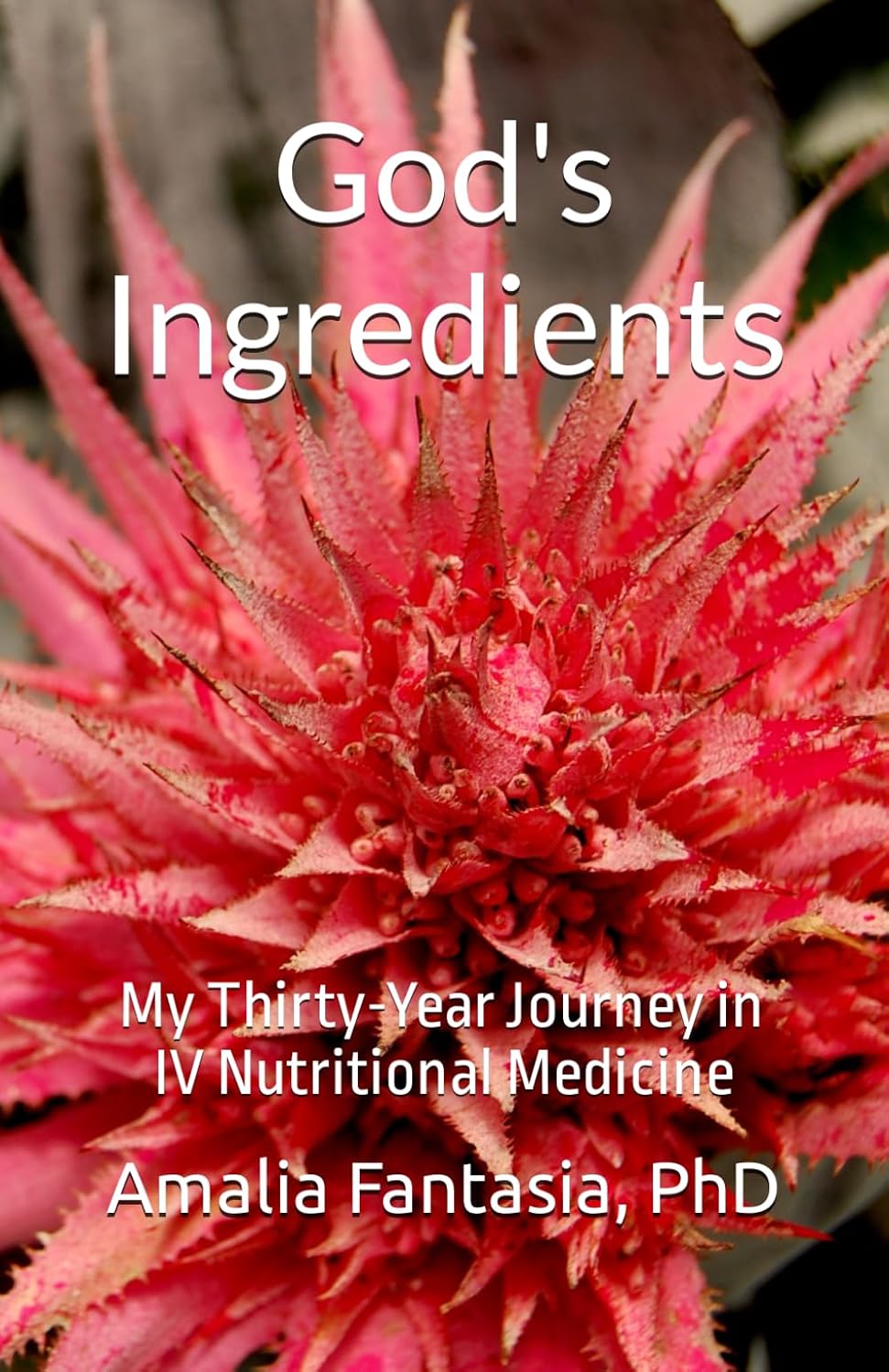 God's Ingredients: My Thirty-Year Journey in IV Nutritional Medicine