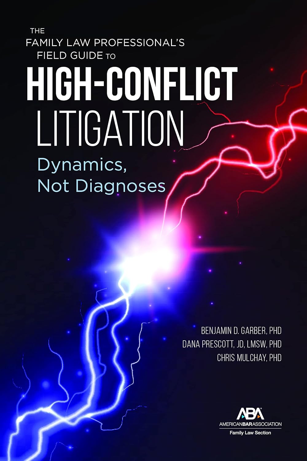 The Family Law Professional's Field Guide to High-Conflict Litigation: Dynamics, Not Diagnoses