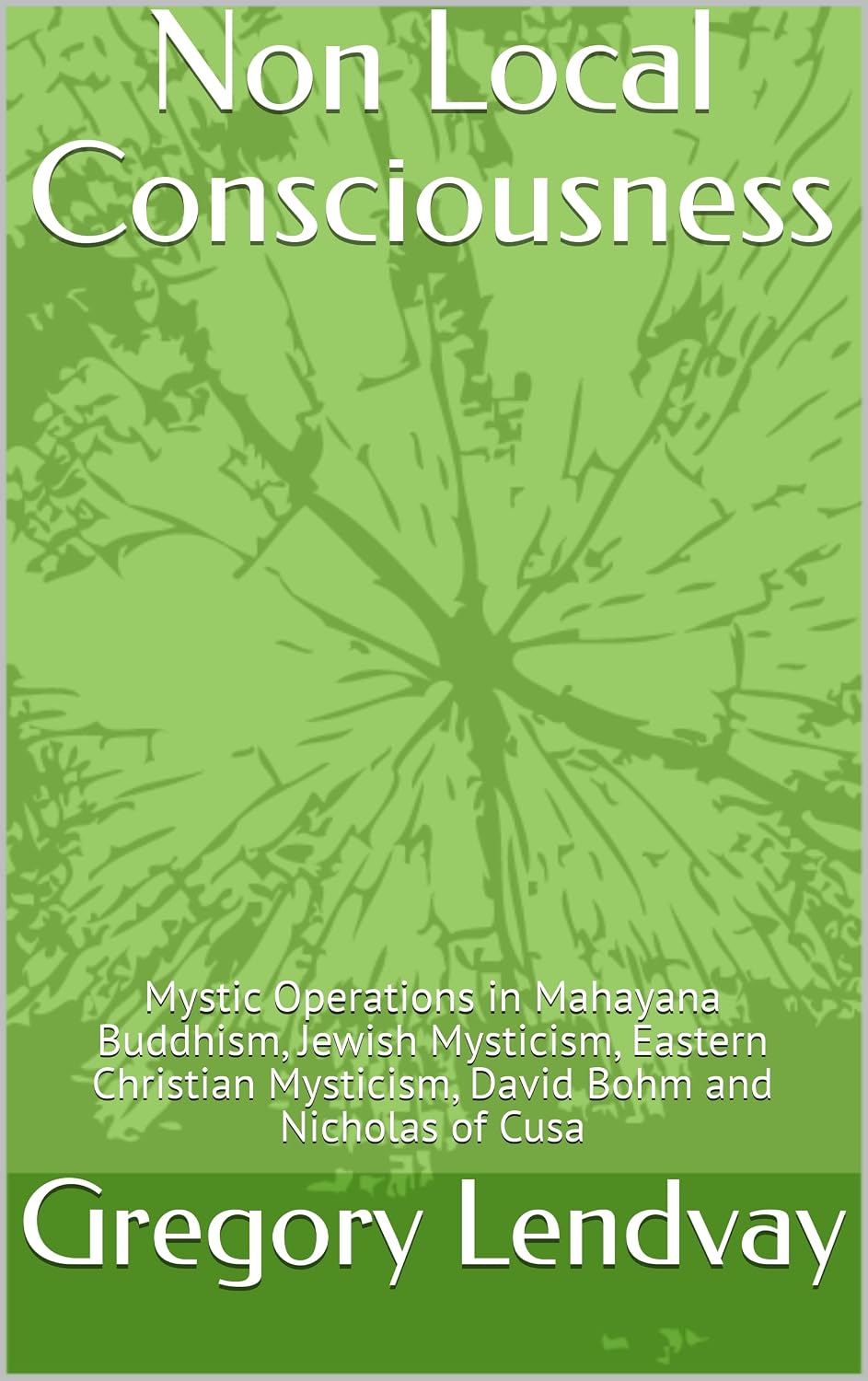 Non Local Consciousness: Mystic Operations in Mahayana Buddhism, Jewish Mysticism, Eastern Christian Mysticism, David Bohm and Nicholas of Cusa