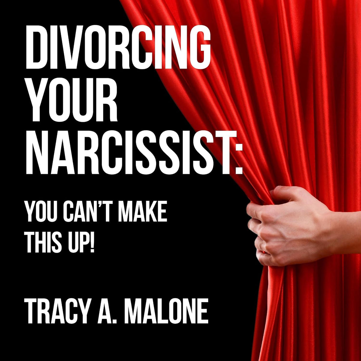 Divorcing Your Narcissist: You Can't Make This Shit Up!