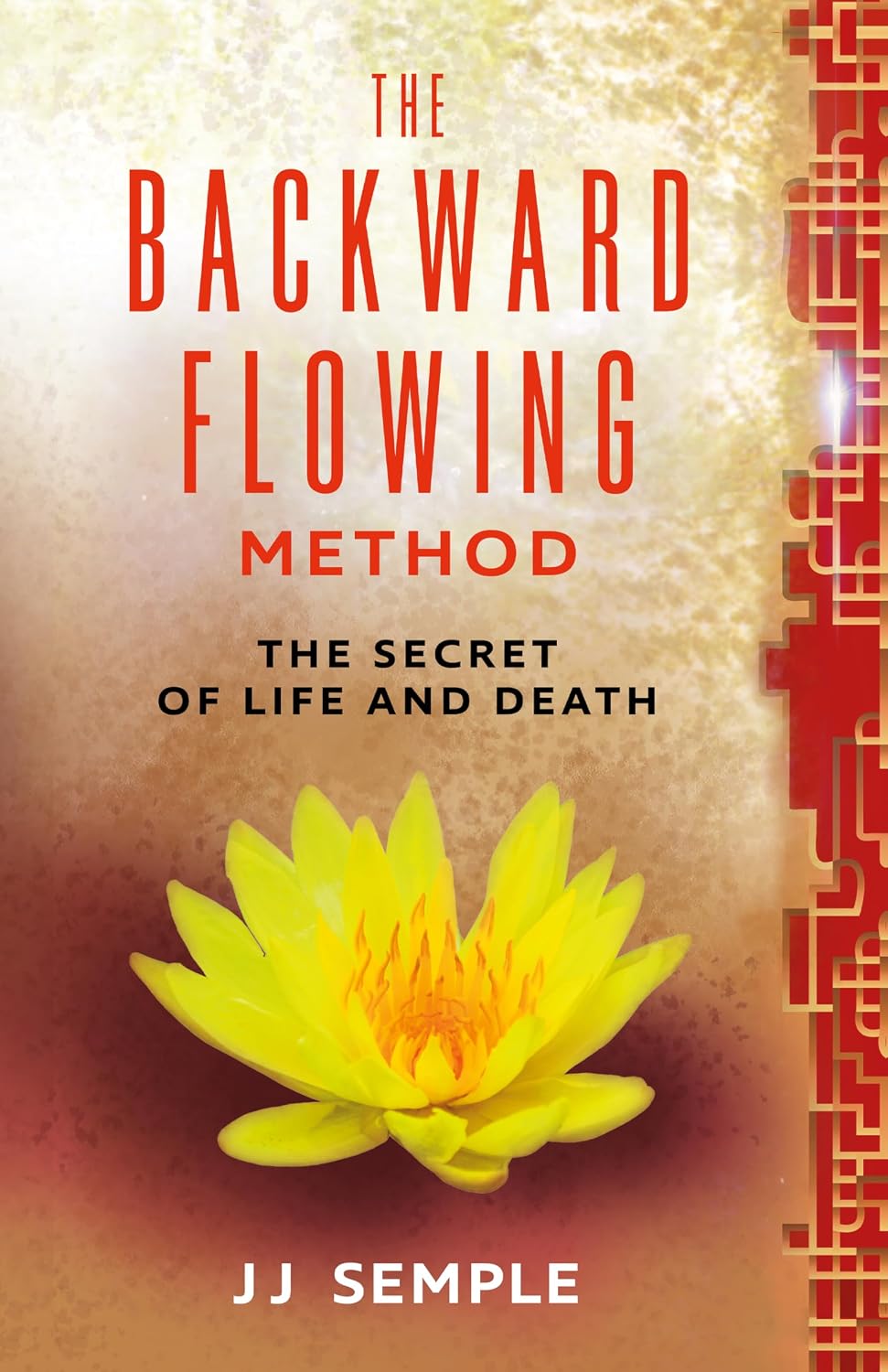 The Backward-Flowing Method: The Secret of Life and Death (GFM Book 3)