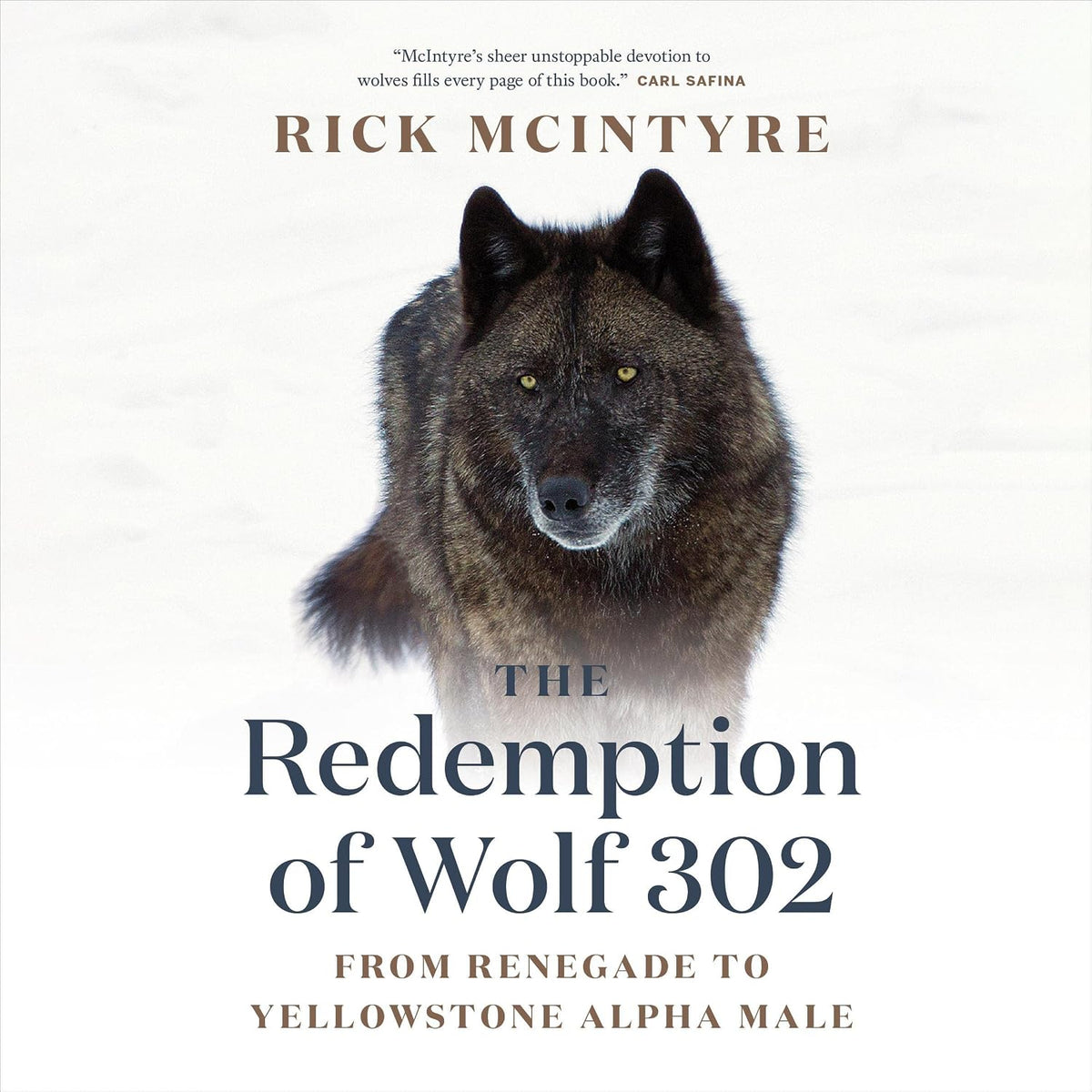 The Redemption of Wolf 302: From Renegade to Yellowstone Alpha Male: The Alpha Wolves of Yellowstone, Book 3