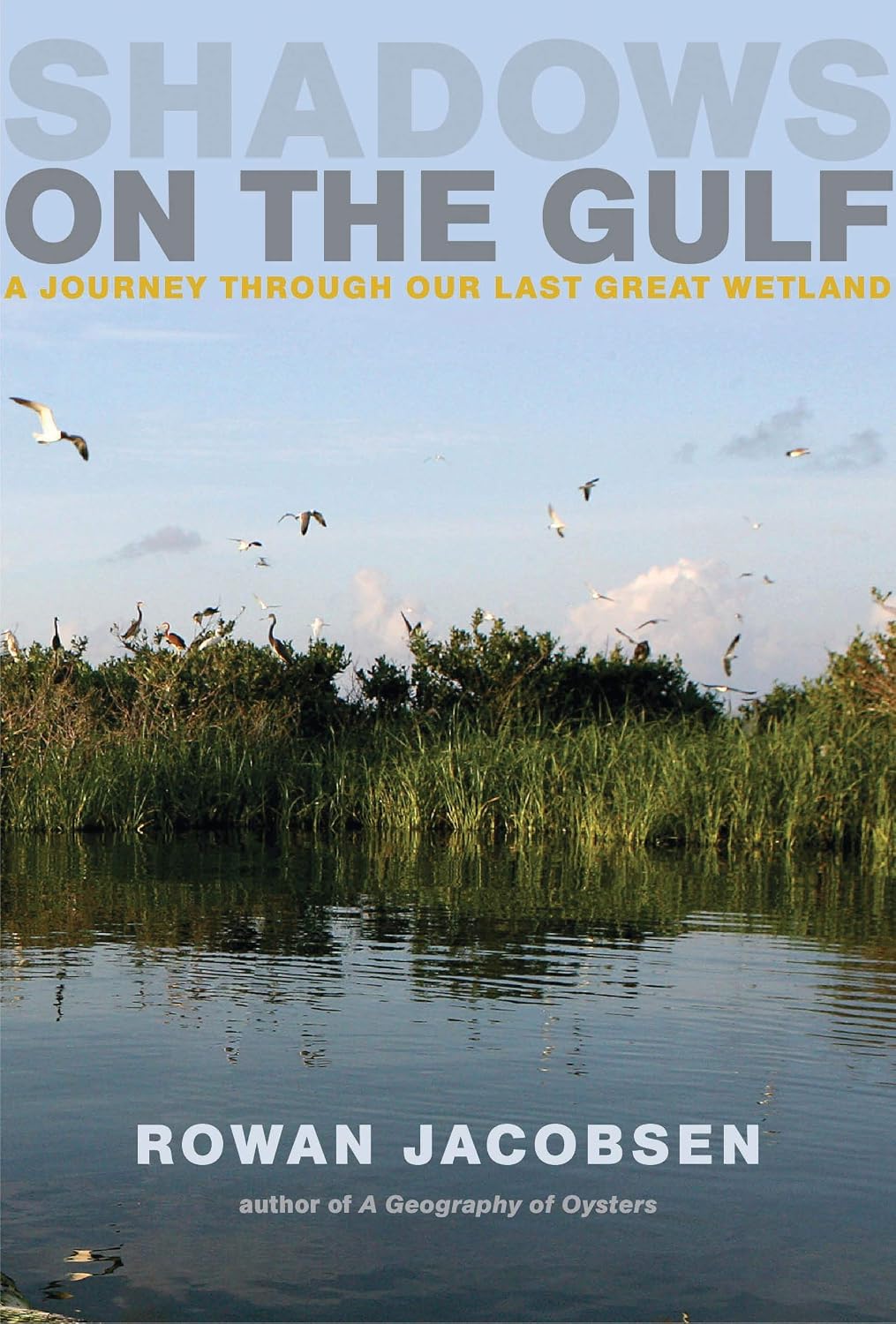 Shadows on the Gulf: A Journey Through Our Last Great Wetland