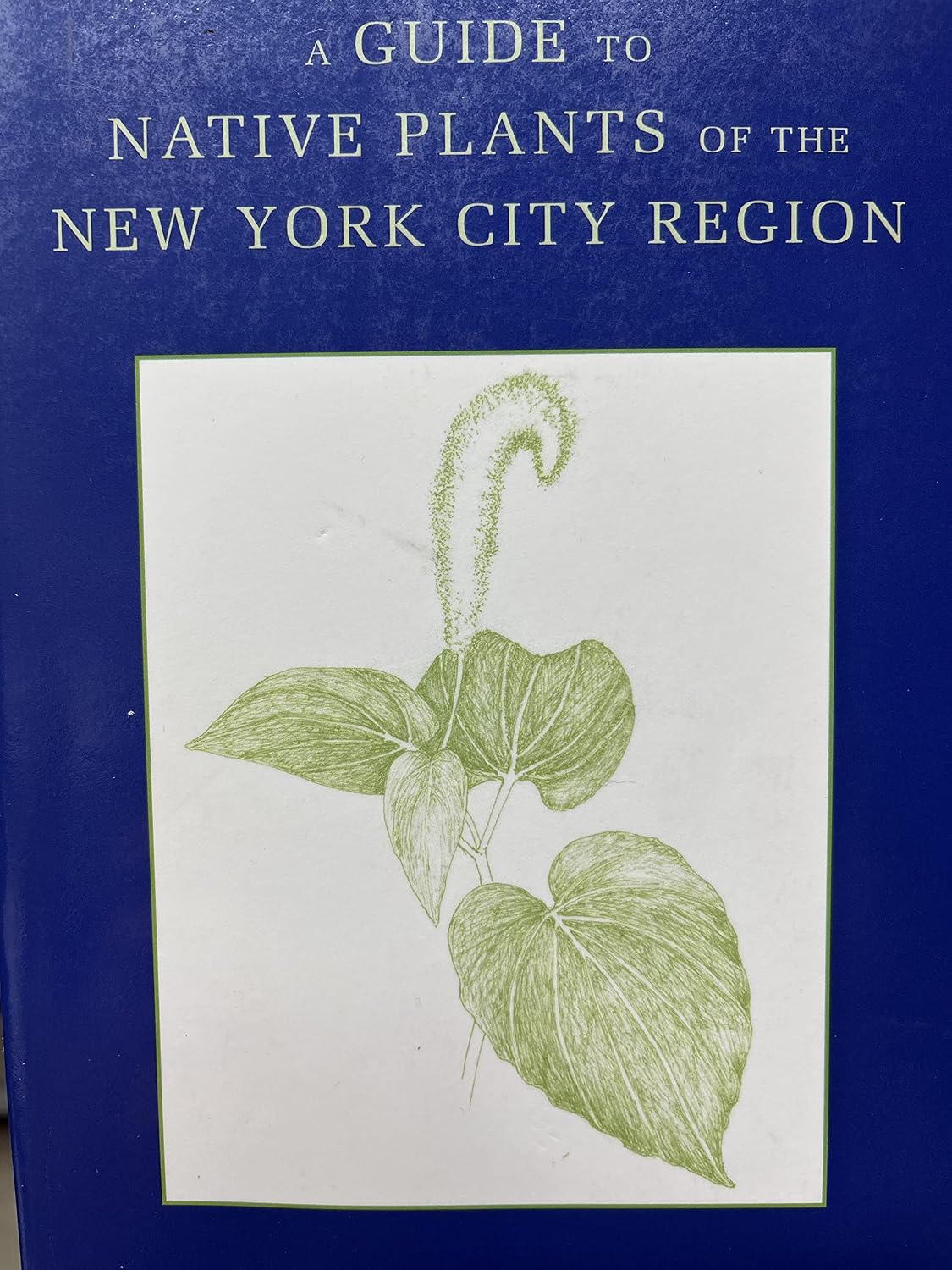 A Guide to Native Plants of the New York City Region