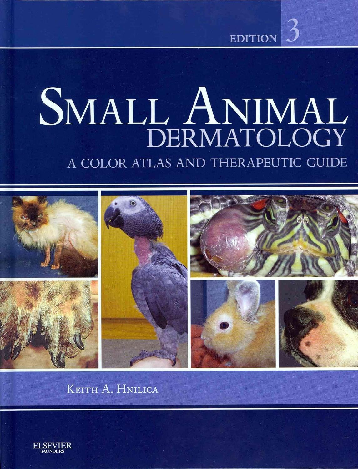 Small Animal Dermatology: A Color Atlas and Therapeutic Guide