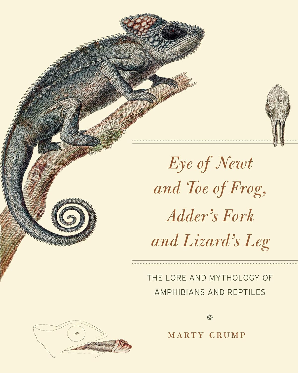 Eye of Newt and Toe of Frog, Adder's Fork and Lizard's Leg: The Lore and Mythology of Amphibians and Reptiles
