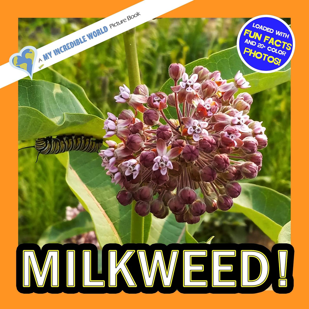 Milkweed!: A My Incredible World Picture Book for Children (My Incredible World: Nature and Animal Picture Books for Children)