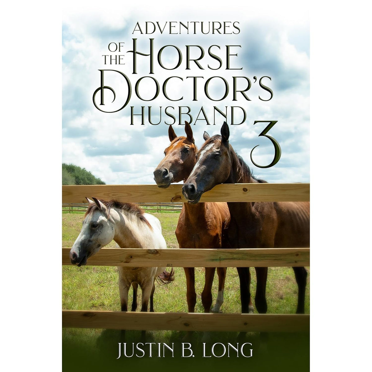 Adventures of the Horse Doctor's Husband 3